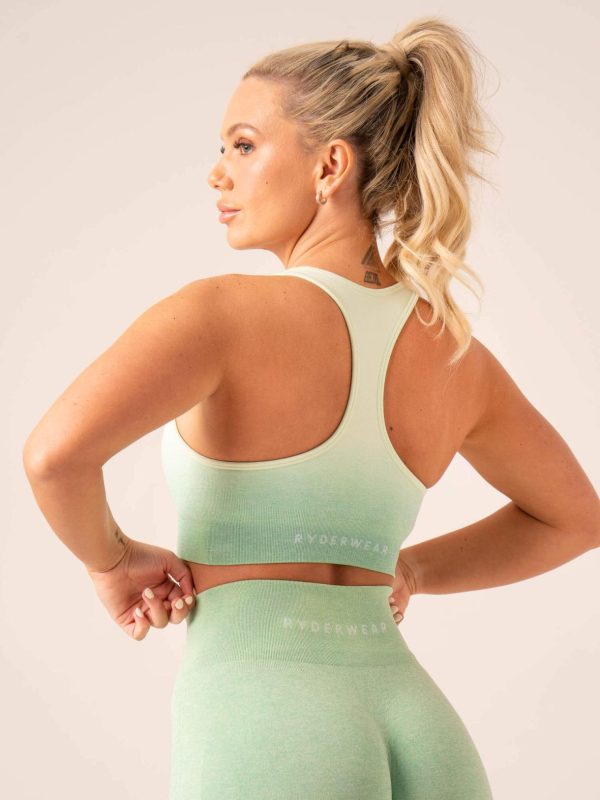 Newstudy.shop0c142706bb 2