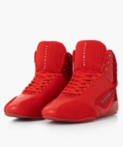 Newstudy.shop1245224238 2