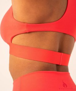 Newstudy.shop251c21b0da 4