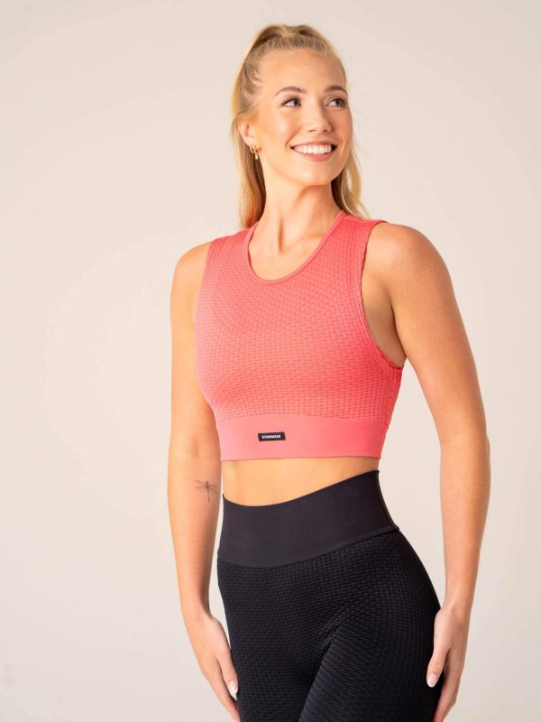 Newstudy.shop451b2b27cb 5