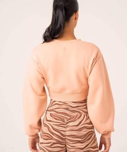 Newstudy.shop4add730f65 3