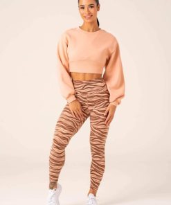 Newstudy.shop4add730f65 5