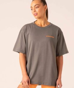 Newstudy.shop548e138cb5 1