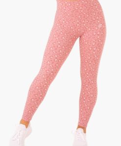 Newstudy.shop563a97c491 1