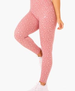 Newstudy.shop563a97c491 2