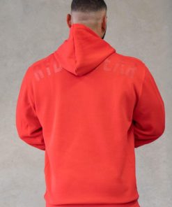 Newstudy.shop5c7610510e 3