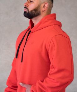 Newstudy.shop5c7610510e 4