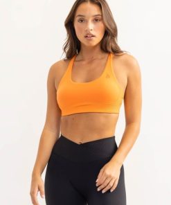 Newstudy.shop66ae5065fe 1