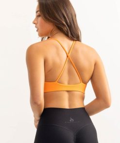 Newstudy.shop66ae5065fe 2