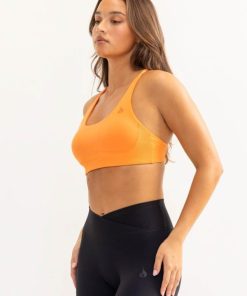 Newstudy.shop66ae5065fe 3