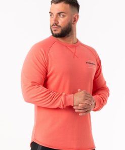 Newstudy.shop67ba22458d 3