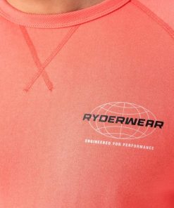 Newstudy.shop67ba22458d 4