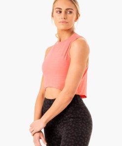 Newstudy.shop6d6c712023 3