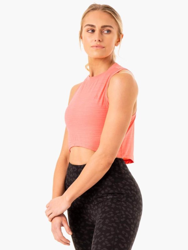 Newstudy.shop6d6c712023 3