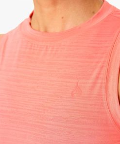 Newstudy.shop6d6c712023 4