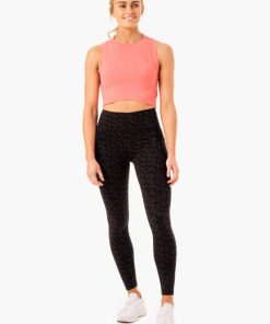 Newstudy.shop6d6c712023 5