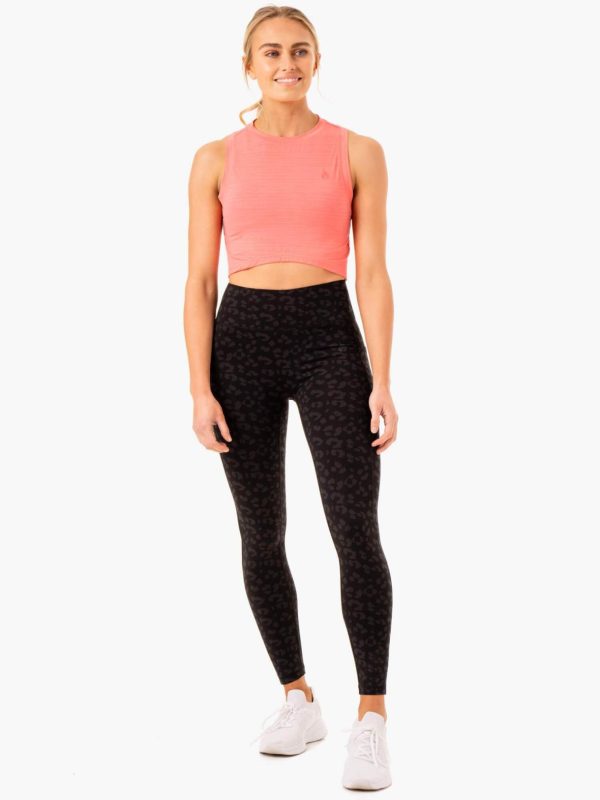 Newstudy.shop6d6c712023 5