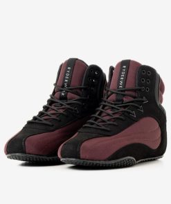 Newstudy.shop75066db947 2