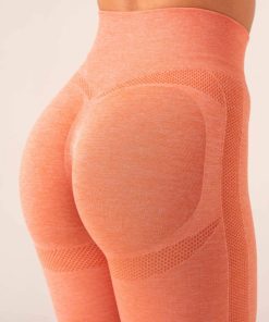 Newstudy.shop9e1304922b 3