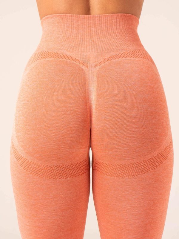 Newstudy.shop9e1304922b 4