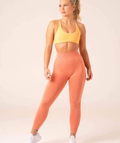 Newstudy.shop9e1304922b 5