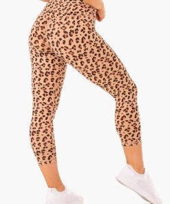 Newstudy.shopc7dd21cbe3 2