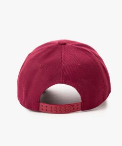 Newstudy.shopcca1b4c456 2