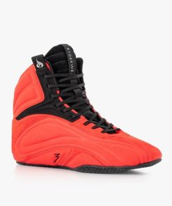 Newstudy.shopd144fdeb5b 2