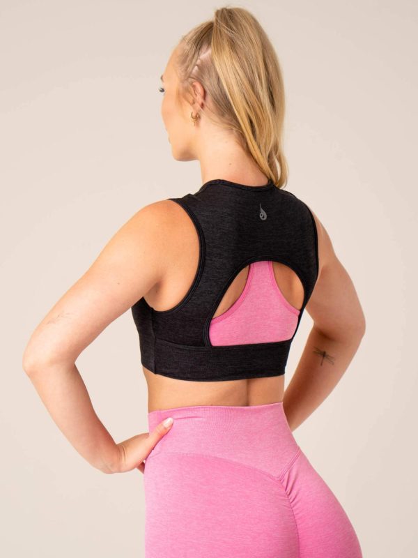 Newstudy.shopd159ec3062 5