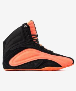 Newstudy.shope54d69338c 1