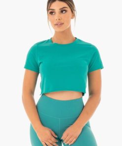 Newstudy.shopf64b65b64d 1